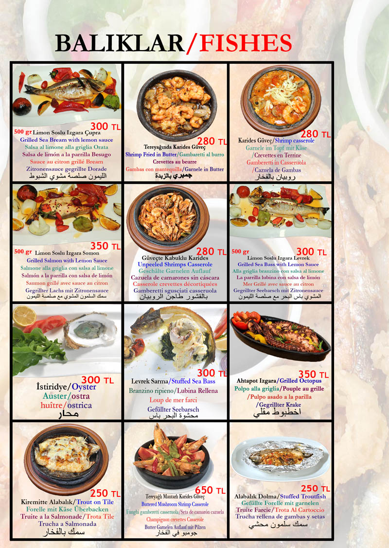 Turkish Restaurant Menu Price İstanbul