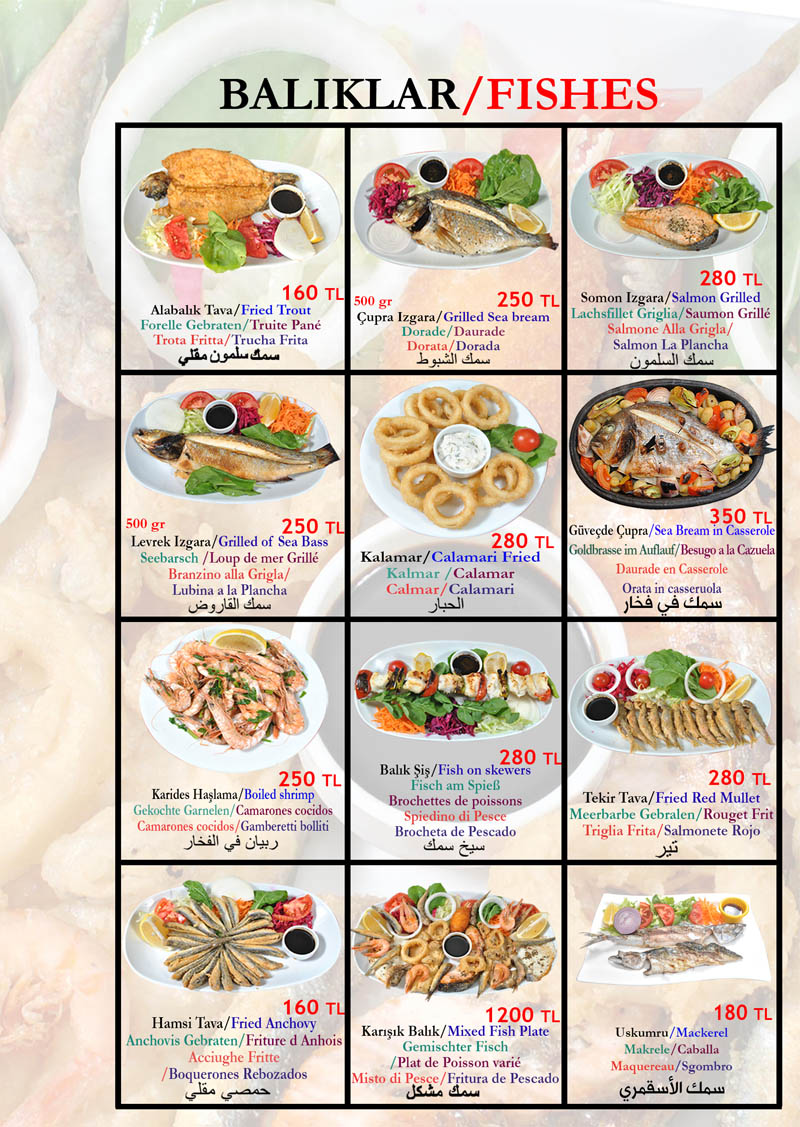 A RI RESTAURANT Turkish Russian Restaurant Price In Istanbul a-ri-restaurant-turkish-russian-restaurant-price-in-istanbul